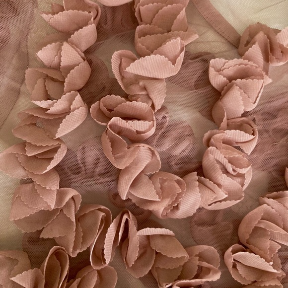 DONATED✖️ 
Ruffled Sheer Blouse - Picture 6 of 6